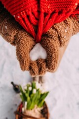 snow heart