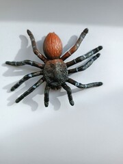 realistic miniature plastic spider figure toy white background insect montessory lifecycle child