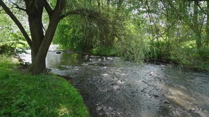A stream of water flows through a lush green forest. The water is calm and clear, and the surrounding trees provide a peaceful and serene atmosphere