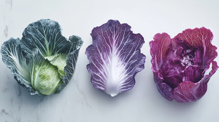 Obraz premium Vibrant Crunch: A Trio of Cabbages on White