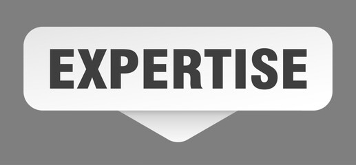 expertise sticker. expertise sign isolated on gray background