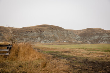 Autumn farm pasture in Southern Alberta