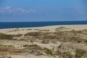Aerial view from drone of the forest and sand dunes of the Curonian Spit National Reserve (Kurshskaya Kosa)
