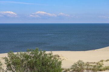 Aerial view from drone of the forest and sand dunes of the Curonian Spit National Reserve (Kurshskaya Kosa)