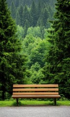 Fototapeta premium Peaceful Bench Surrounded by Lush Green Trees in a Tranquil Forest Setting with Beautiful Nature Background