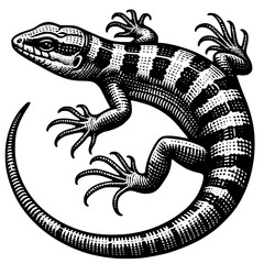 Lizard Vector Illustration