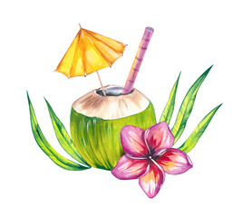 Watercolor coconut hand drawn nut cocktail with flowers and leaves. Coconut illustration for packaging, textile, bird design etc. Coconut fruit isolated on white. Tropical illustration