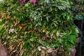 Green leaves for sale at a stand.