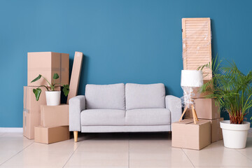 Cardboard boxes with grey sofa, folding screen and houseplants near blue wall in living room on moving day