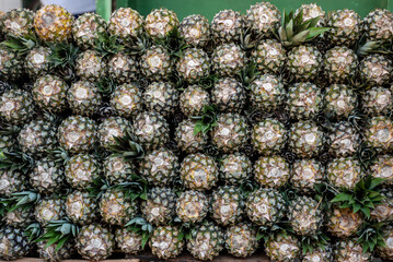 Pineapples for sale at a market. Fruit rich in vitamins C, B1, B6, iron, magnesium and fiber.