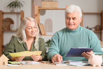 Senior man with his wife calculating utility bills in kitchen