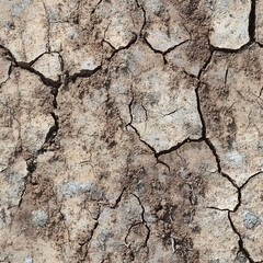 Fototapeta premium Cracked dry soil texture with deep fissures and cracked surface