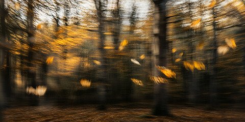 Naklejka premium Blurred Autumn Leaves Falling in a Golden Forest