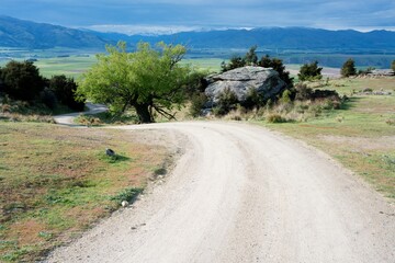 Old Scenic Gravel Road with a Big Rock and Ancient Tree