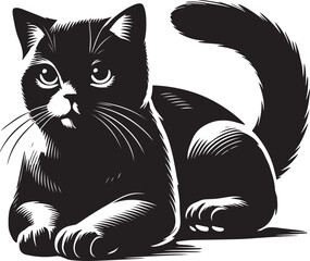 Beautiful Cat icon silhouette vector with white background