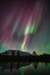 Atemberaubende Polarlichter hinter Bergsilhouette und See mit Reflexion im Vordergrund