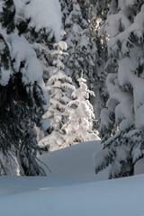 Ski day in Vail Colorado in the Winter. Rocky Mountain Views.