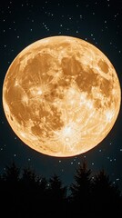 A giant golden full moon hangs low in the starry night sky over silhouetted pine trees. Ideal for space lovers and nature enthusiasts.