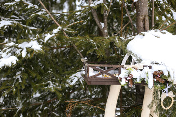 Bird in winter in snowy mountains near a bird feeder in green spruce trees
