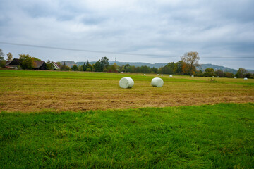 Strohballen eingewickelt in Folie auf der Weide