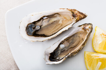 Opened fresh raw oysters served with lemon on white plate