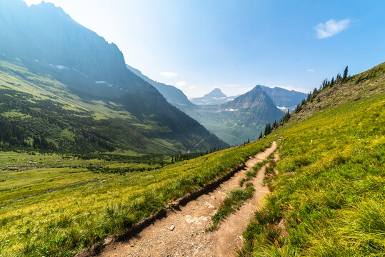 Hiking Trail Through Glacier National Park