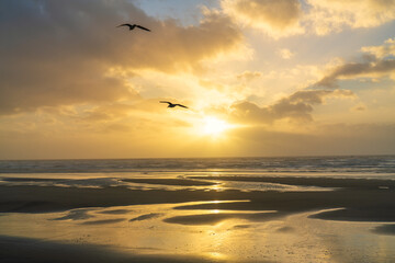 Blackpool beach at sunset in England, United Kingdom