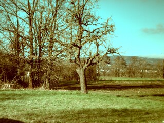 Landscape Frankfurt Germany