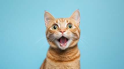 Astonished Ginger Cat Against Light Blue Background