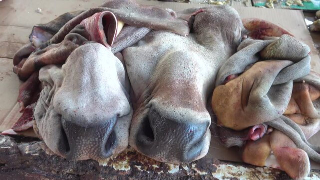 Wet Asian markets. Cow faces with soft lips like a delicacy. Indonesia