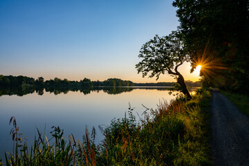 The tranquil waters of Trebonsko Pond reflect the golden hues of sunset, framed by lush greenery...