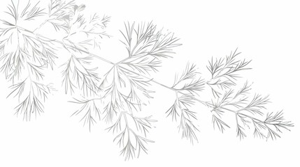 Dill Leaf Vector Illustration for Design Projects