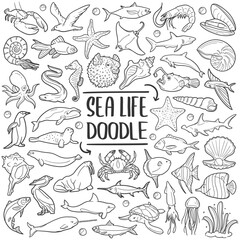 Sea Animals Doodle Line Art Illustration. Hand Drawn Vector Clip Art Stamps.