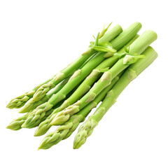 Fresh green asparagus stalks isolated on a clean transparent background ready for culinary use and cooking, Fresh asparagus isolated on transparent background