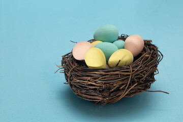 Colourful easter eggs in nest against blue background.