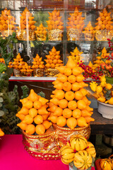 pot plant named Five Generations Together Fruit for Chinese new year