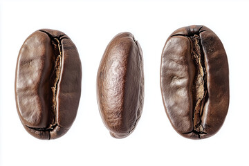 Fototapeta premium Set of coffee bean, brown roasted caffeine espresso seed 