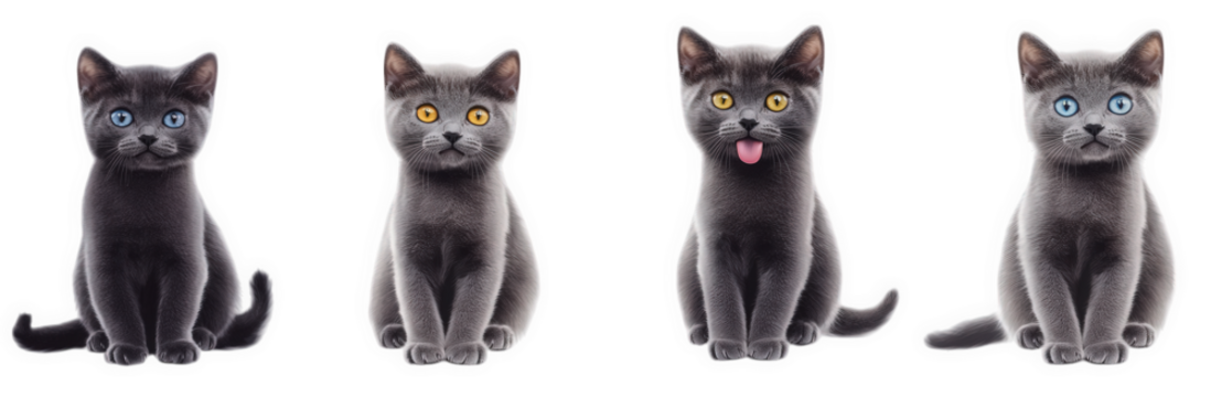 four cute. cartoon-like gray kittens. each with distinct eye colors and expressions the first two kittens have bright blue and yellow eyes. while the third kitten sticks out its tongue playfully the f - Powered by Adobe