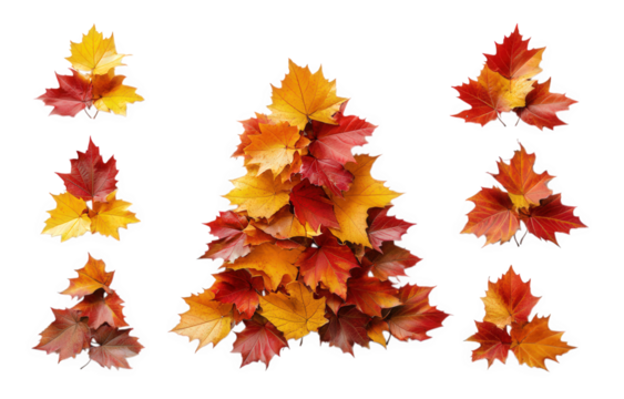 creative arrangement of colorful autumn leaves. forming a tree shape in the center. surrounded by smaller clusters of leaves the vibrant hues of red. orange. and yellow evoke a seasonal theme. likely