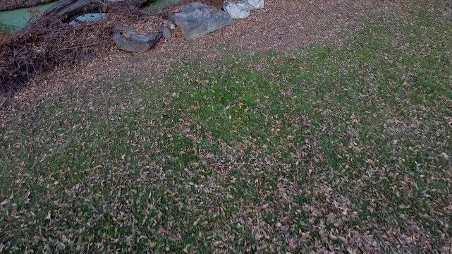 Pov de un cesped verde con ojas secas en oto&ntilde;o vista desde un drone