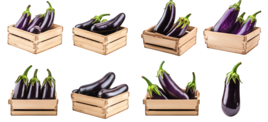 several wooden crates filled with fresh. vibrant eggplants. arranged in a visually appealing pattern the eggplants vary in size and orientation. emphasizing their glossy skin and rich purple hue. maki