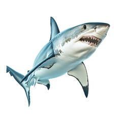 Fototapeta premium A majestic shark swimming against a transparent background showcasing its powerful physique and razorsharp teeth, shark isolated on transparent background