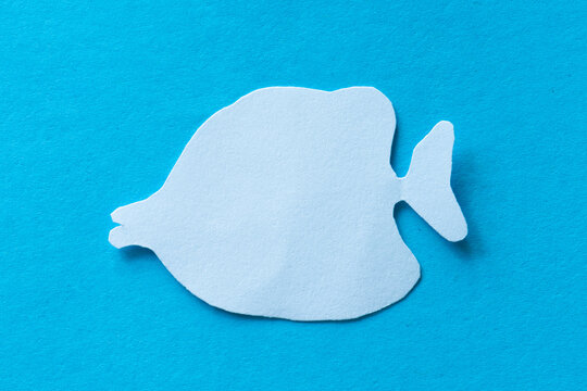 Coral fiah in paper cut out craft