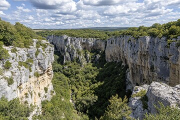 Majestic Rocky Canyon Surrounded by Lush Green Trees and Dramatic Cloudy Sky in a Picturesque Landscape View from Above