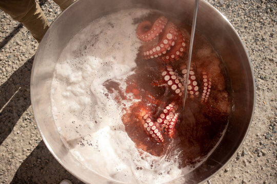 Chef (pulpeiro) preparing fresh octopus by submerging it in boiling water in a large metal pot