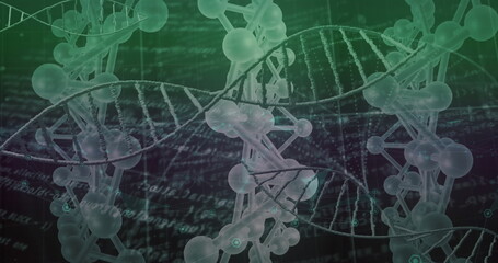 Image of dna strands over data processing