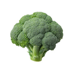 fresh and vibrant head of broccoli. showcasing its dense. green florets and thick stalk the clean. white background emphasizes the vegetable's natural color and texture. making it suitable for culinar