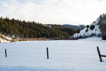 Fototapeta premium winter landscape in the mountains