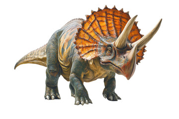 Obraz premium Classic portrayal of a Triceratops in dynamic pose on a white background isolated on transparent background