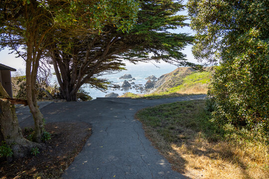 Bodega bay California